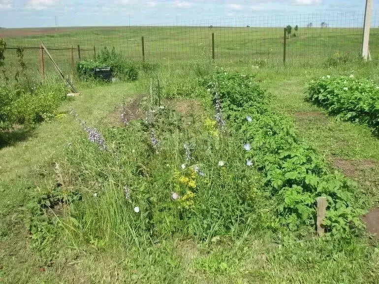 Участок в Калужская область, Дзержинский муниципальный округ, ... - Фото 1