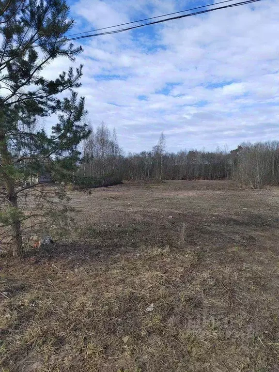 Участок, 25 сот., поселения (ижс) - Фото 1