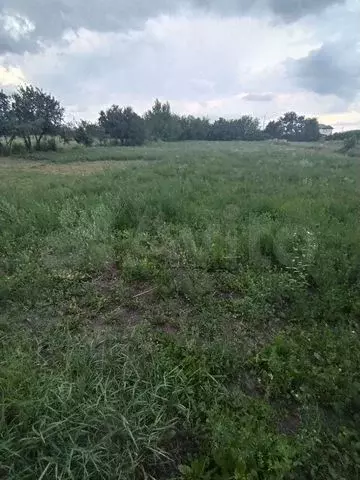 Участок 28 сот. (ИЖС) - Фото 0