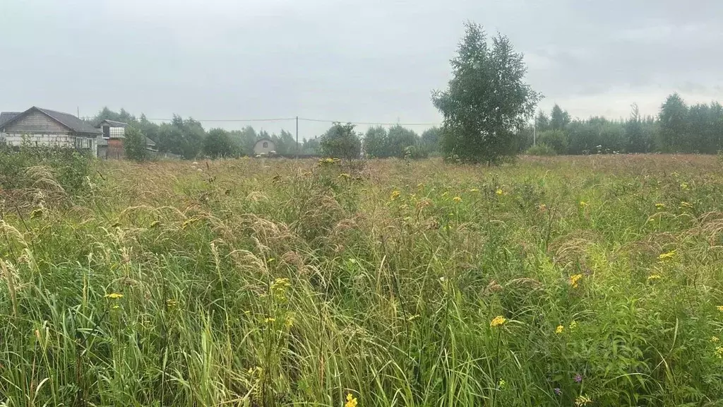 Участок в Московская область, Ступино городской округ, д. Акатово  ... - Фото 1