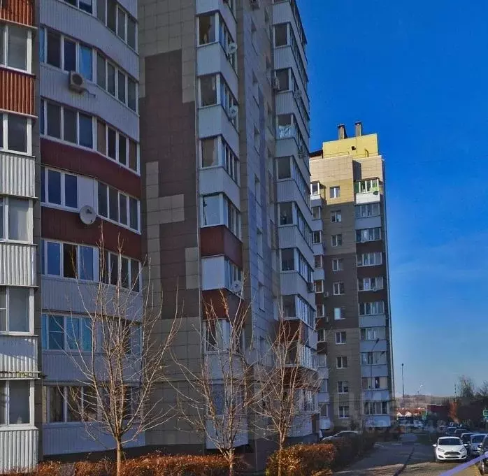 2-к кв. Белгородская область, Белгород бул. Строителей, 41 (60.0 м) - Фото 1