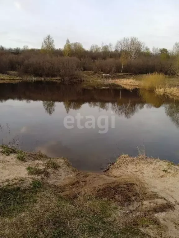 Участок в Нижегородская область, Перевозский городской округ, с. ... - Фото 0