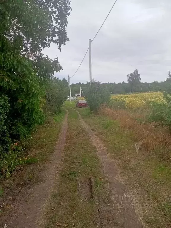 Участок в Белгородская область, Белгородский район, Стрелецкое с/пос, ... - Фото 1