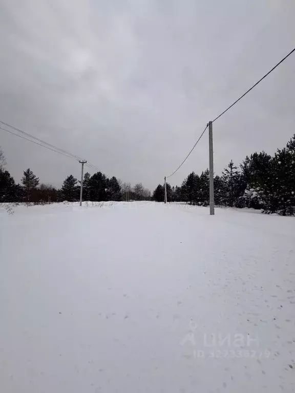 Участок в Кировская область, Кирово-Чепецкий район, Пасеговское с/пос, ... - Фото 1