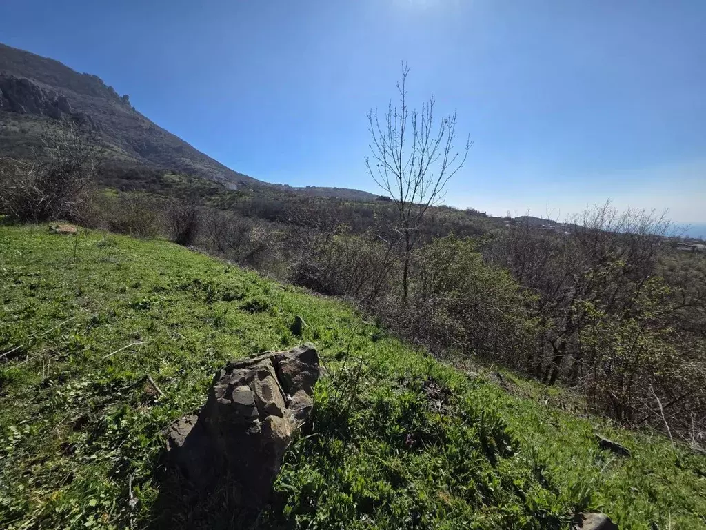 Участок в Крым, Алушта муниципальный округ, с. Лучистое  (60.0 сот.) - Фото 2