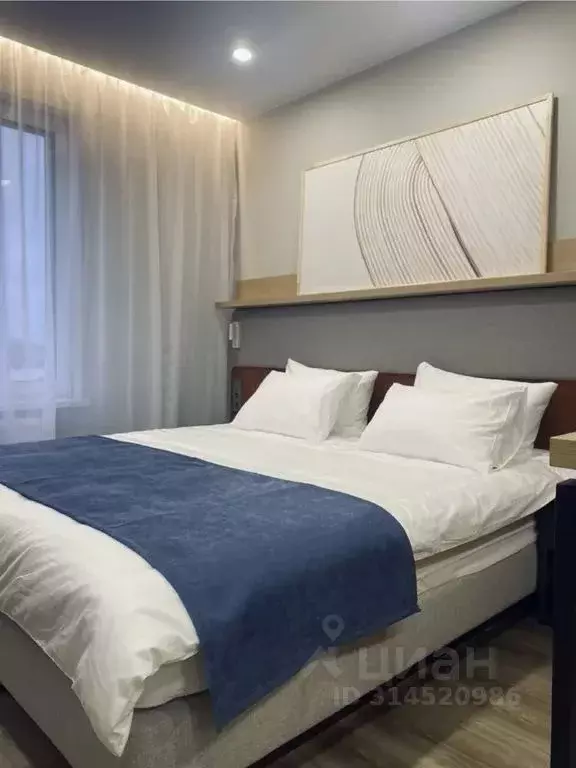 1-к кв. Санкт-Петербург бул. Измайловский, 1к2 (26.0 м) - Фото 1