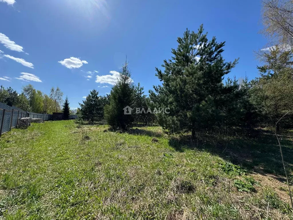 Продается участок в д. Плешкино - Фото 1