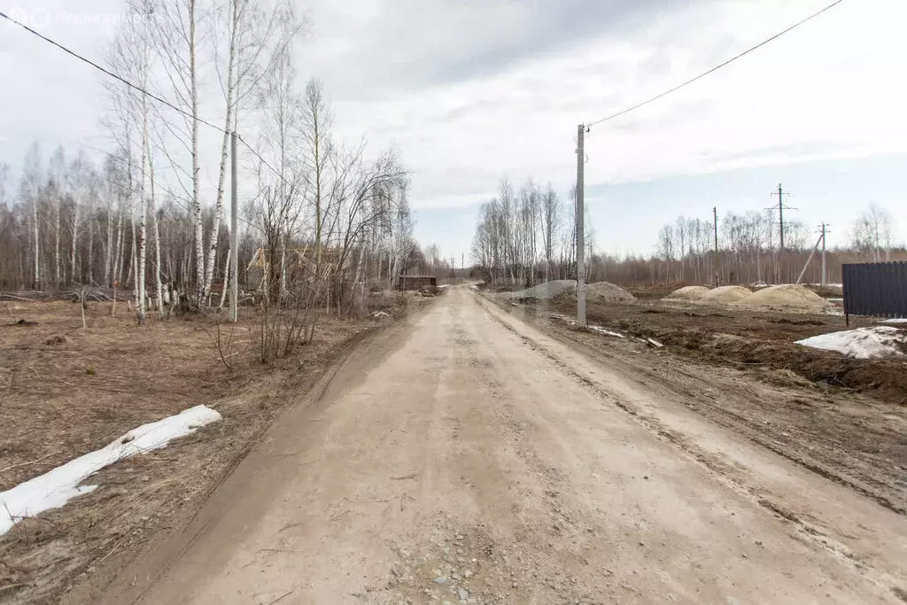 Участок в Тобольск, территория Панин Бугор, Кедровая улица (14 м) - Фото 1