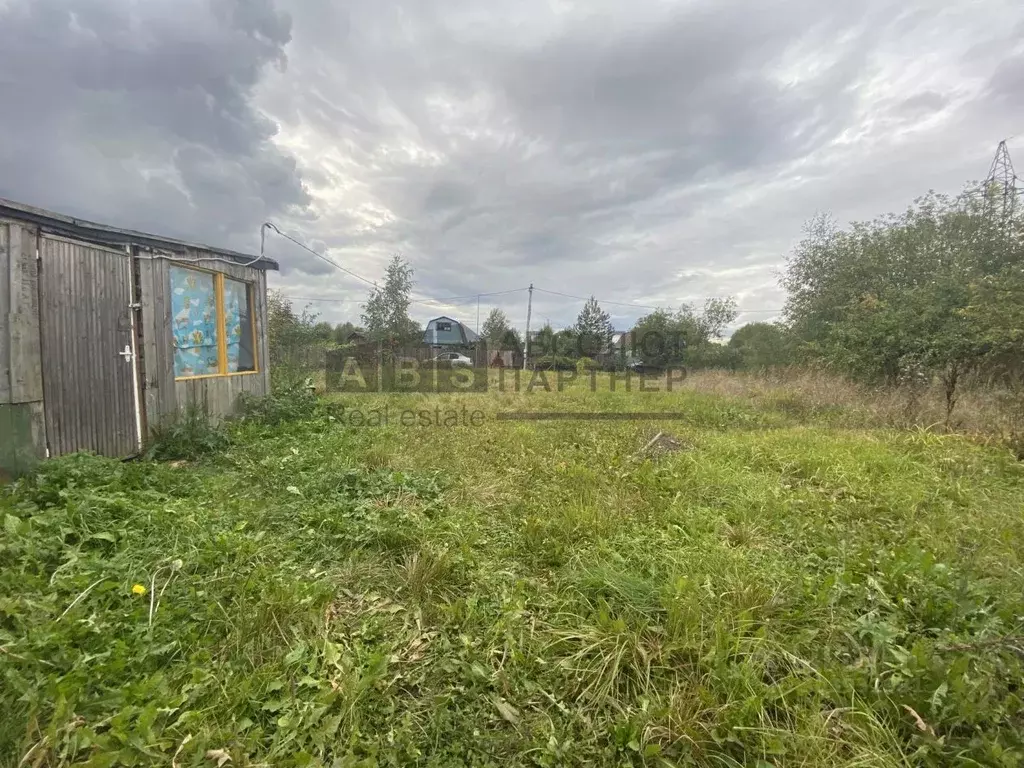 Участок в Новгородская область, Чудово Яблонька садовое товарищество,  ... - Фото 0