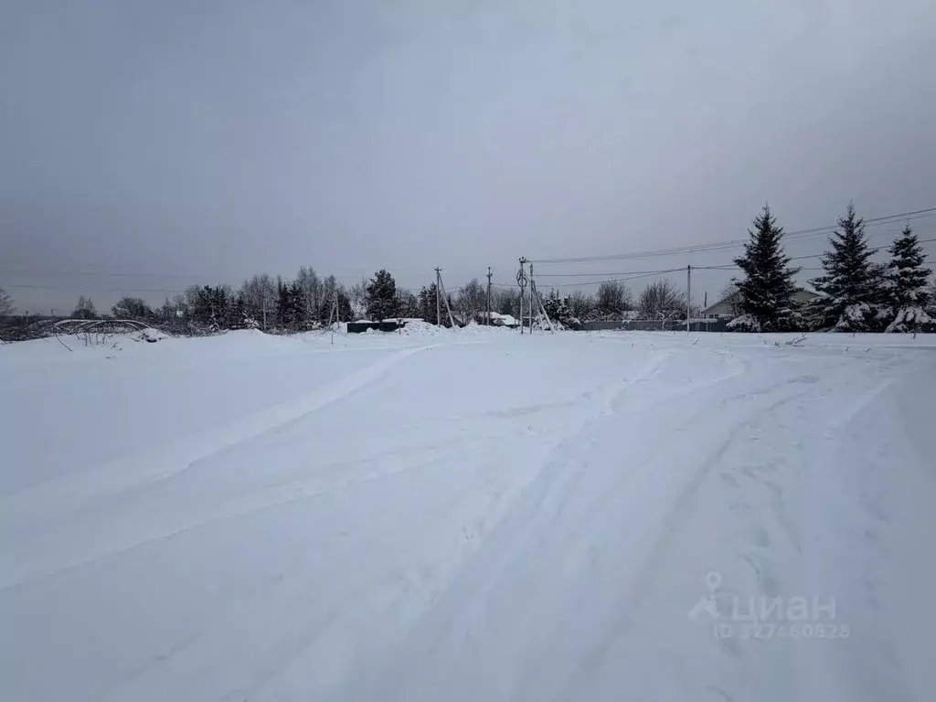 Участок в Московская область, Истра муниципальный округ, д. Ремянники ... - Фото 2