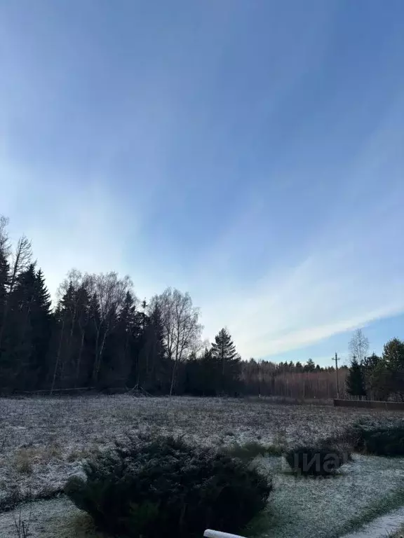 Участок в Московская область, Ступино городской округ, с. Хатунь ул. ... - Фото 1