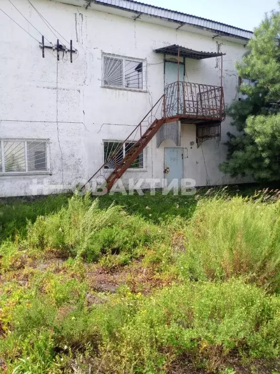 Производственное помещение в Новосибирская область, Чистоозерный ... - Фото 1