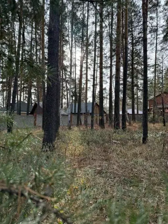 Участок в Иркутская область, Иркутский муниципальный округ, д. ... - Фото 2