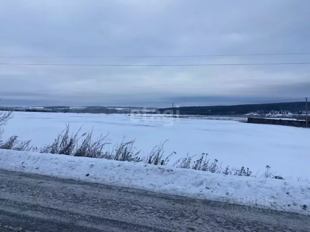 Участок в Нижегородская область, Дальнеконстантиновский муниципальный ... - Фото 0