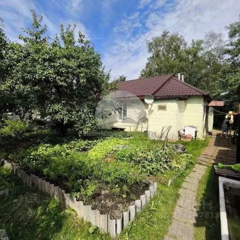 Дом в Новгородская область, Великий Новгород Сенная ул., 21 (50 м) - Фото 0