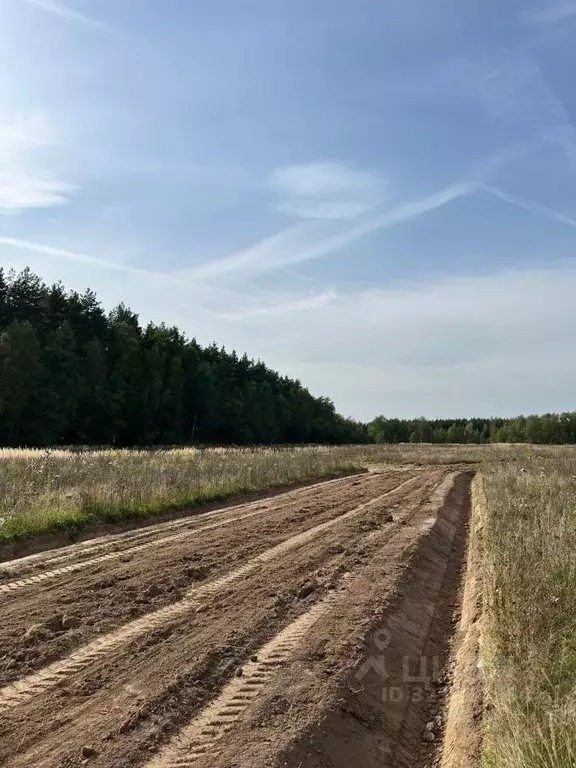 Участок в Московская область, Раменский муниципальный округ, Опушкино ... - Фото 1