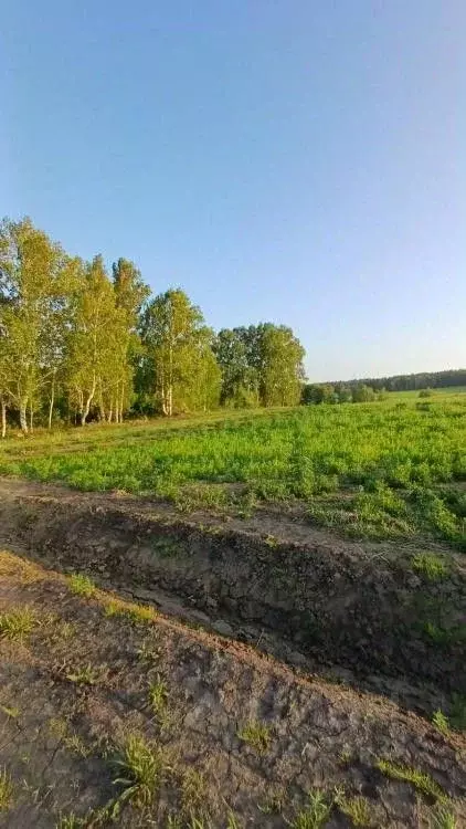 Участок в Иркутская область, Иркутский муниципальный округ, Вдовина ... - Фото 1