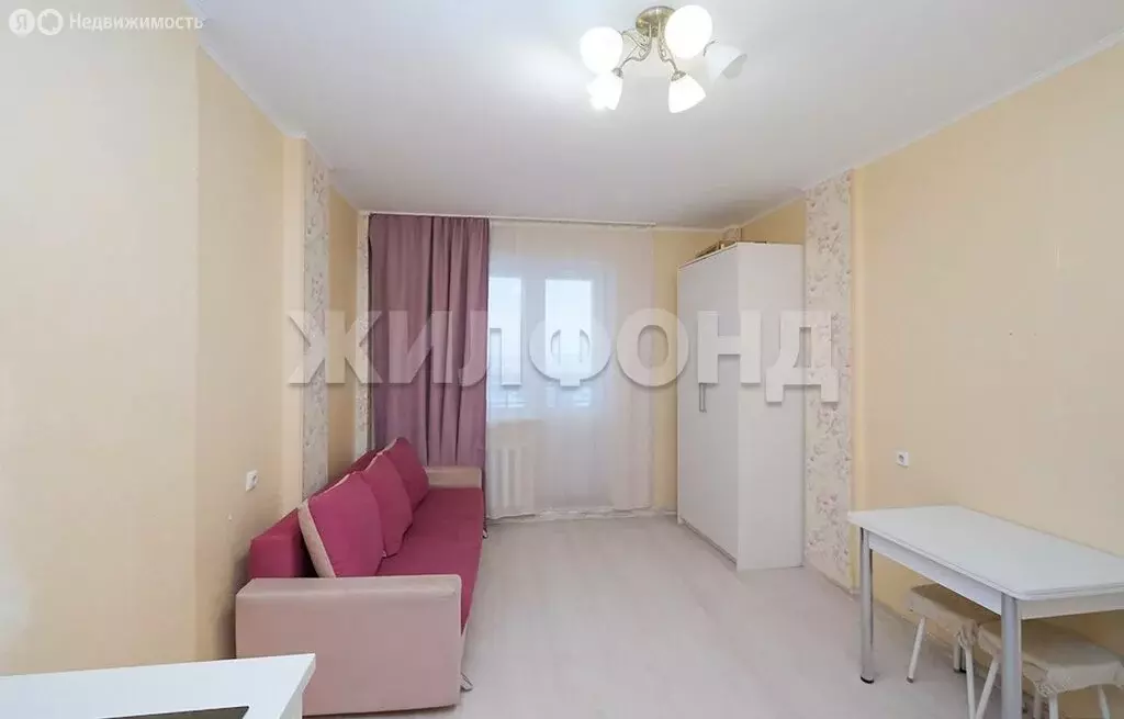Квартира-студия: Новосибирск, улица Костычева, 74/1 (23.9 м) - Фото 1
