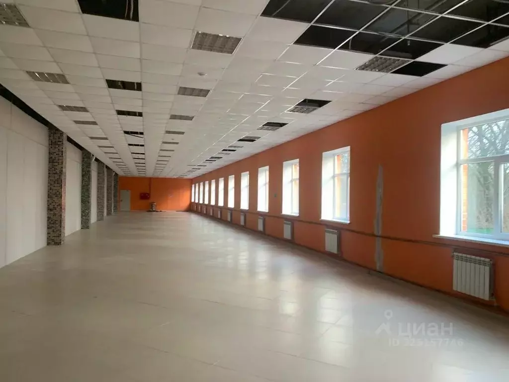 Торговая площадь в Курская область, Курск просп. Дружбы, 32А (355 м) - Фото 2