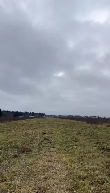 Участок в Московская область, Можайский муниципальный округ, д. ... - Фото 2