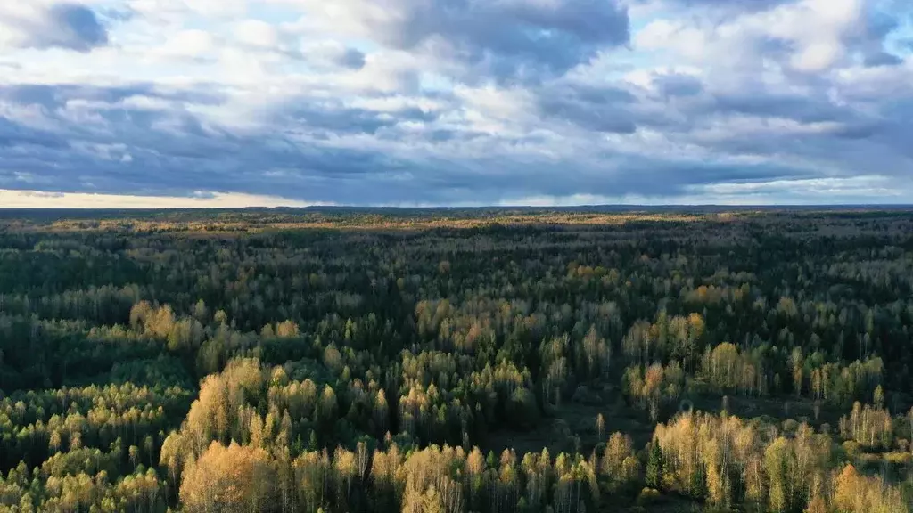 Участок в Тверская область, Селижаровский муниципальный округ, д. ... - Фото 0