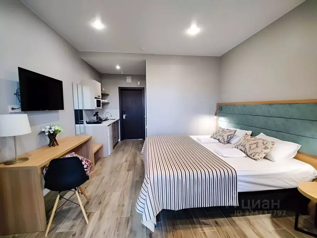 Студия Краснодарский край, Анапа муниципальный округ, с. Витязево ул. ... - Фото 1