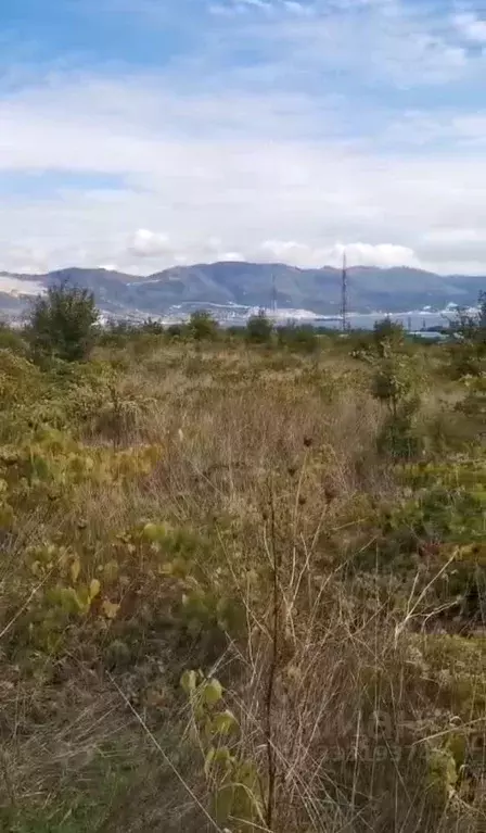 Участок в Краснодарский край, Новороссийск ул. Михаила Тихоновича ... - Фото 1