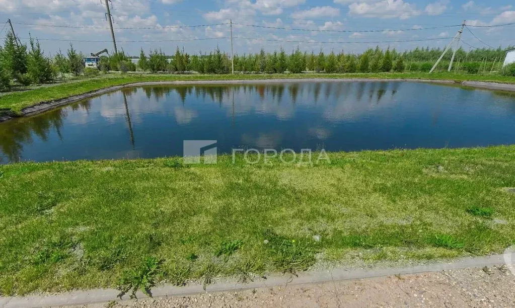 Участок в Новосибирская область, Новосибирский район, Березовский ... - Фото 1