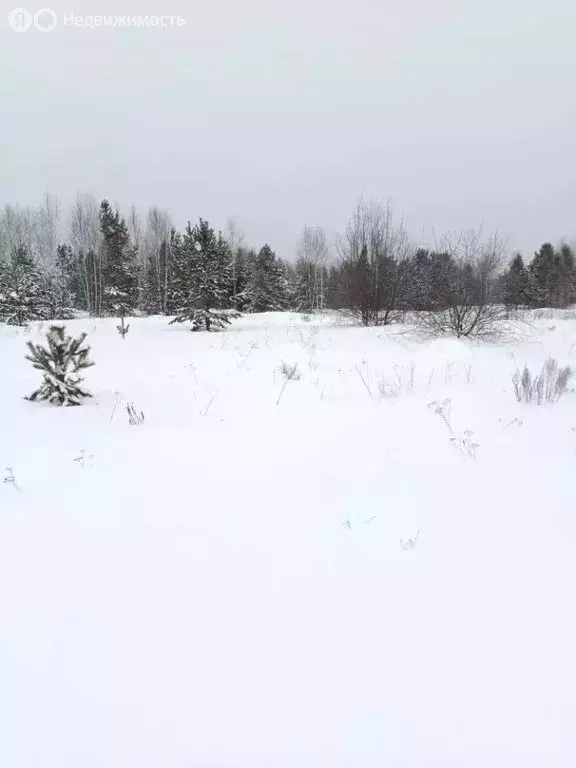 Участок в Свердловская область, Кировградский муниципальный округ, ... - Фото 1