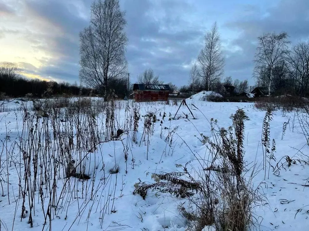 Участок в Ленинградская область, Новая Ладога Волховский район, (9.49 .,  Купить земельный участок в Новой Ладоге, ID объекта - 20007066784