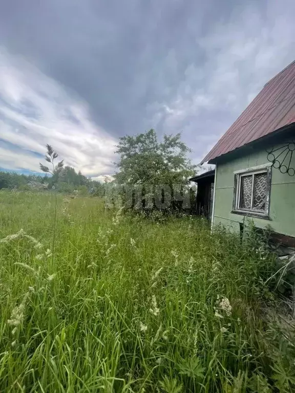 Дом в Вологодская область, Сокольский муниципальный округ, Радуга ... - Фото 2