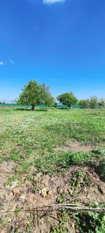 Участок в Ростовская область, Октябрьский район, пос. Персиановский  ... - Фото 1