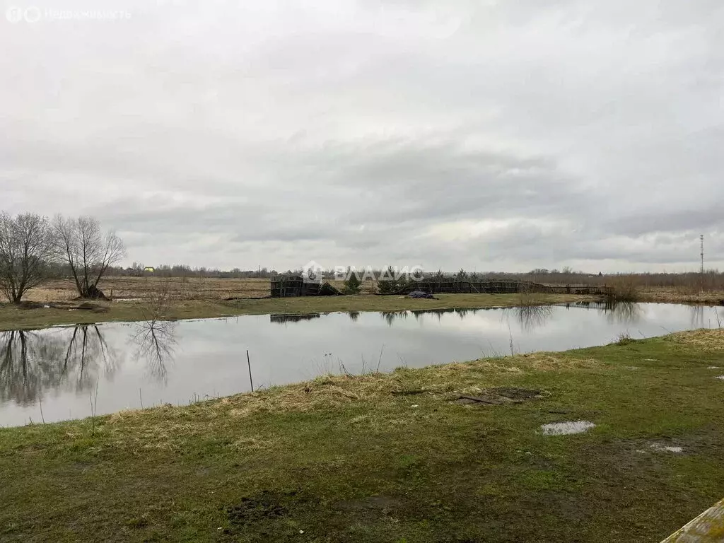 Участок в Московская область, городской округ Коломна, село Чанки (12 ... - Фото 2