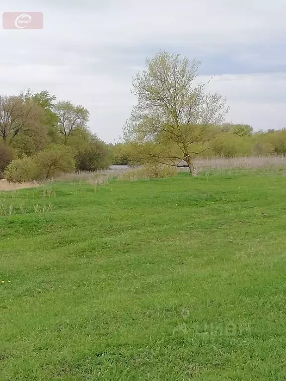 Участок в Воронежская область, Новоусманский район, с. Орлово ... - Фото 0