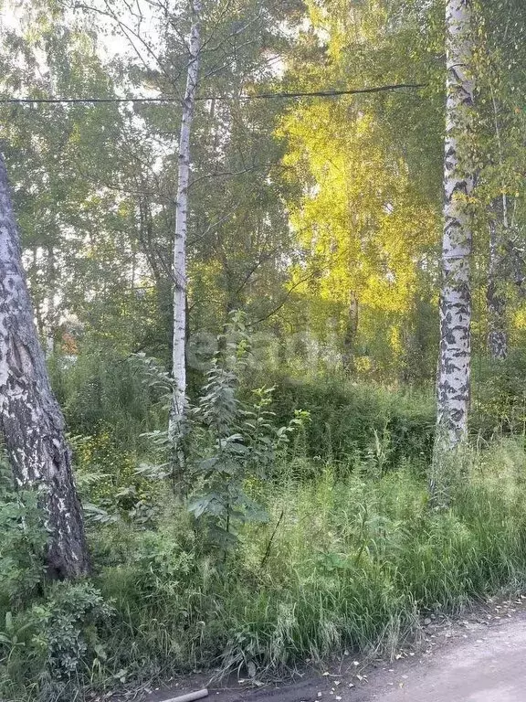 Участок в Новосибирск, территория садового товарищества Вулкан (8.3 м) - Фото 0