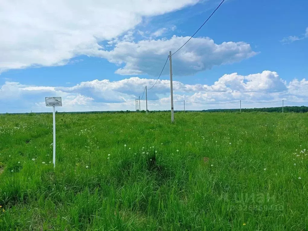 Участок в Владимирская область, Судогда ул. Ошмарина (12.0 сот.) - Фото 1