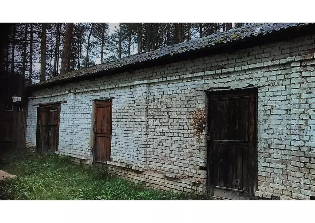 Помещение свободного назначения в Коми, Ухта муниципальный округ, ... - Фото 1