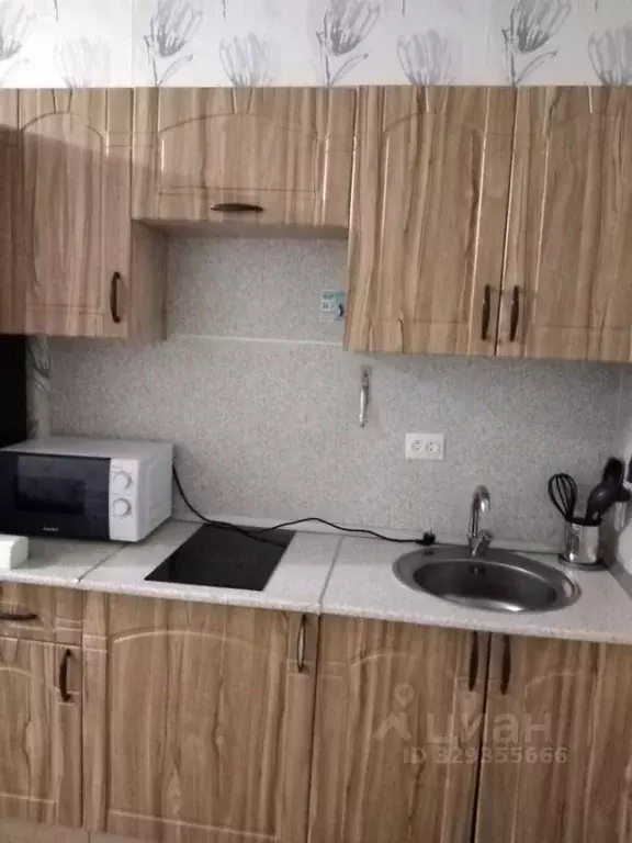 Студия Ленинградская область, Мурино Всеволожский район, бул. ... - Фото 2