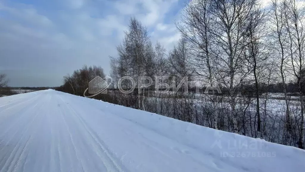Участок в Тюменская область, Тюмень Ямал СНТ, ул. Ямальская (50.0 ... - Фото 1