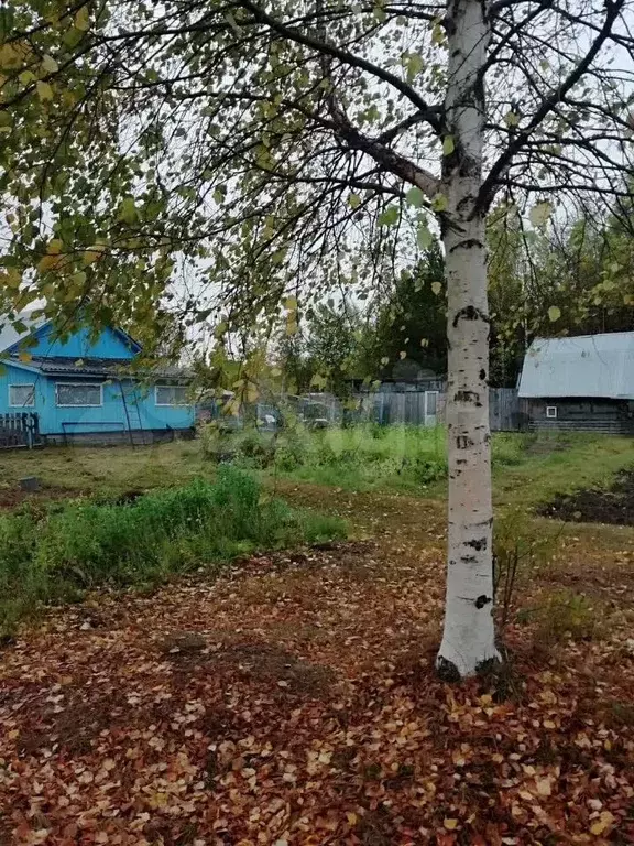 Дом 40 м на участке 19 сот. - Фото 0