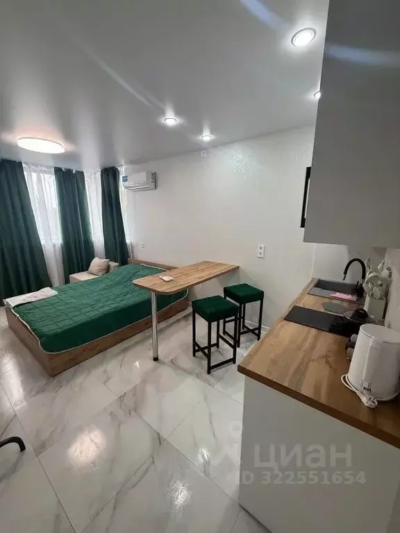 Студия Крым, Сакский район, с. Фрунзе ул. Мира, 27А (22.0 м) - Фото 1