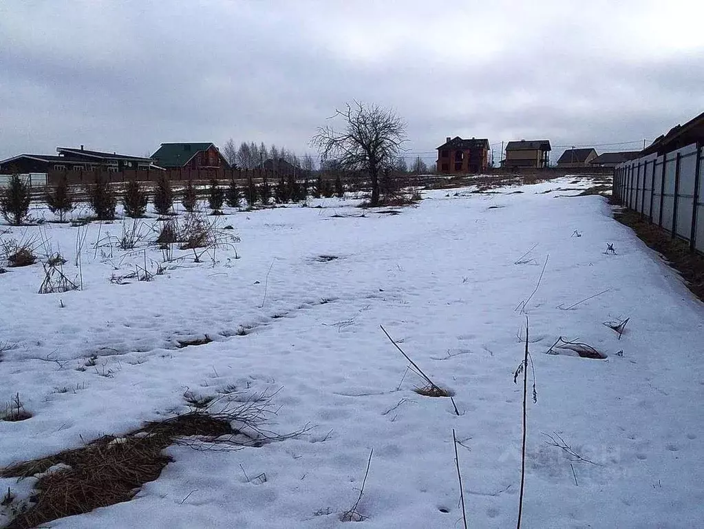 Дом в Брянская область, Брянский район, Добрунское с/пос, д. Тешеничи ... - Фото 2