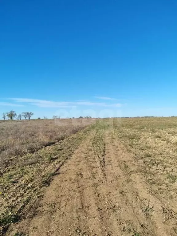 Участок в Крым, Сакский район, с. Лесновка  (6.0 сот.) - Фото 1