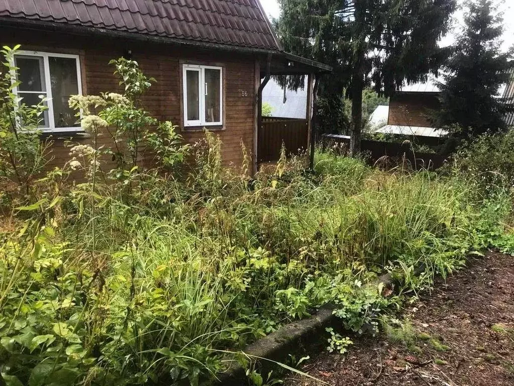 Дом в Московская область, Волоколамский муниципальный округ, Мадиз ... - Фото 2