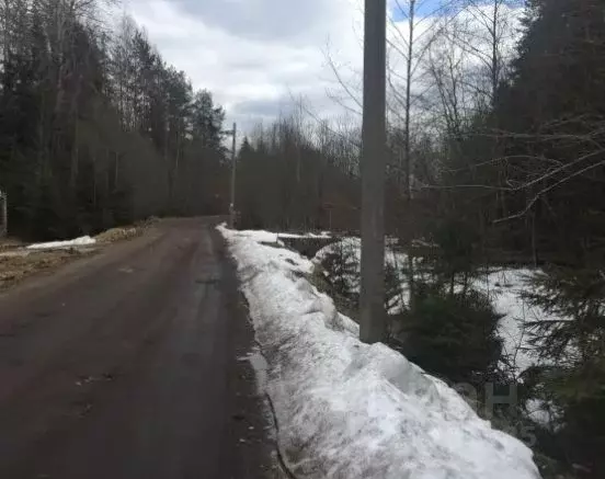 Участок в Новгородская область, Новгородский район, д. Бараниха  (15.0 ... - Фото 1