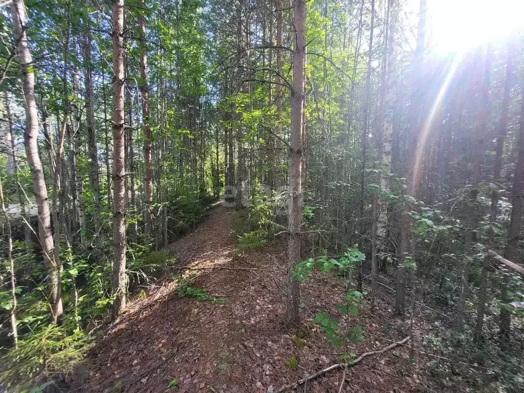 Участок в Коми, Сыктывкар городской округ, Верхняя Максаковка пгт 5-я ... - Фото 0