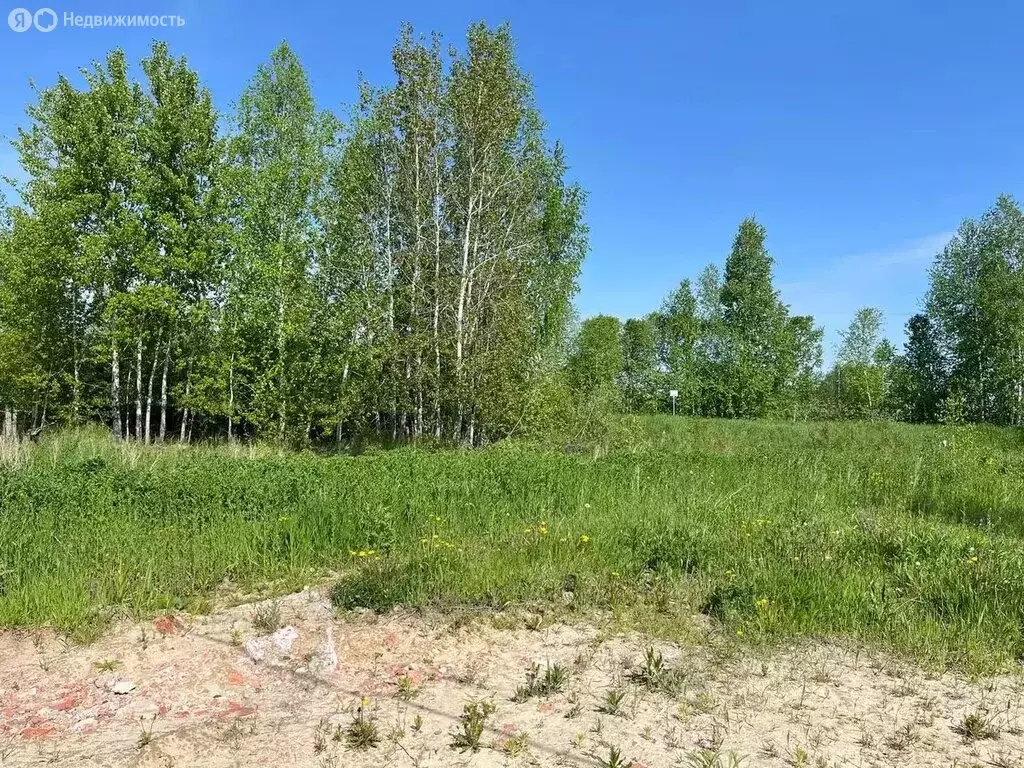 Участок в Тюмень, садовое общество Дубок (11 м) - Фото 0