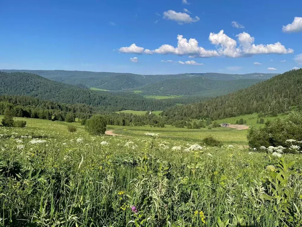 Участок в Алтай, Чемальский район, Седьмое небо кп  (20.0 сот.) - Фото 1