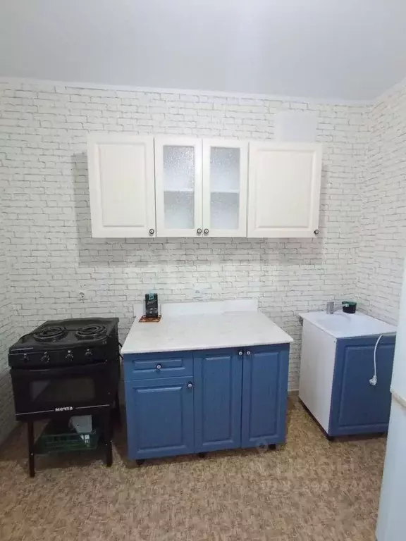 1-к кв. Курганская область, Шадринск ул. Василия Черемисина, 2А (30.4 ... - Фото 1