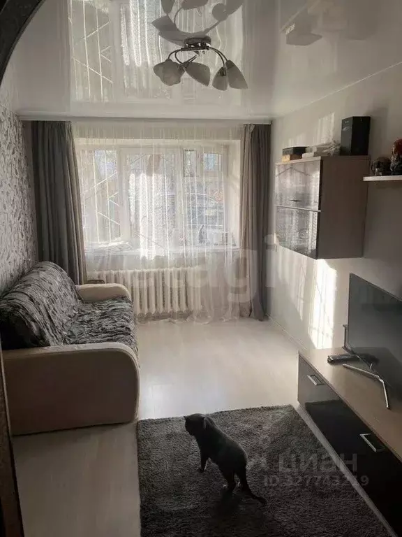 2-к кв. Пермский край, Пермь ул. Мира, 128 (42.0 м) - Фото 1